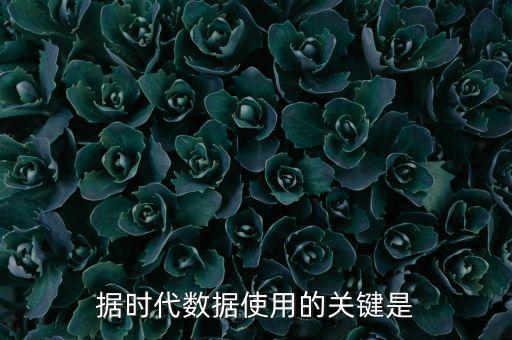 據(jù)時代數(shù)據(jù)使用的關(guān)鍵是