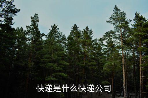 快遞是什么快遞公司