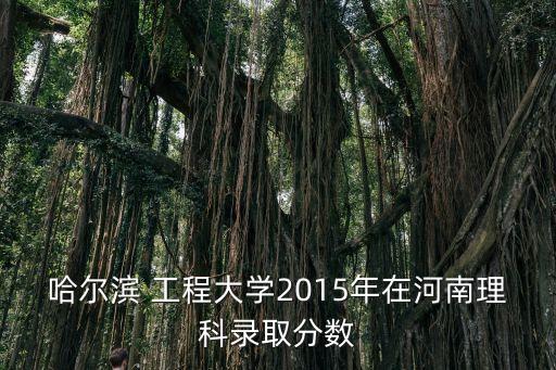 哈爾濱 工程大學(xué)2015年在河南理科錄取分數(shù)