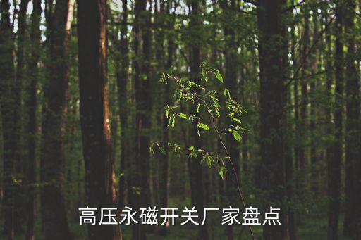 高壓永磁開(kāi)關(guān)廠(chǎng)家盤(pán)點(diǎn)
