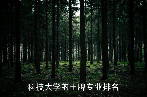 科技大學(xué)的王牌專業(yè)排名