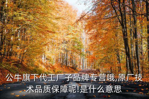 公牛墻開自動化設(shè)備,公牛裝飾開關(guān)和公牛開關(guān)是一家嗎?