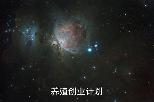 自動(dòng)化設(shè)備養(yǎng)殖肉牛,自動(dòng)化養(yǎng)豬設(shè)備