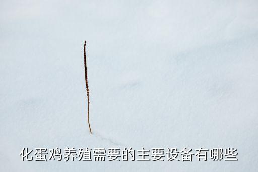 化蛋雞養(yǎng)殖需要的主要設(shè)備有哪些