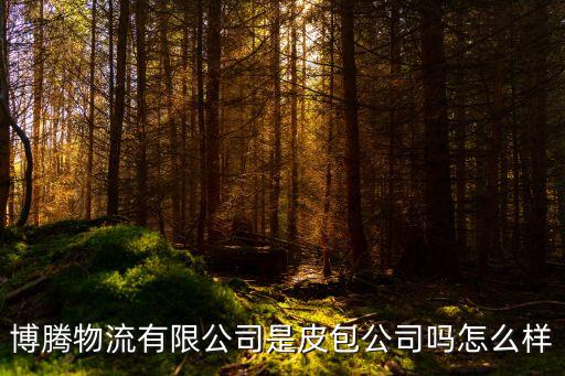 博騰物流有限公司是皮包公司嗎怎么樣
