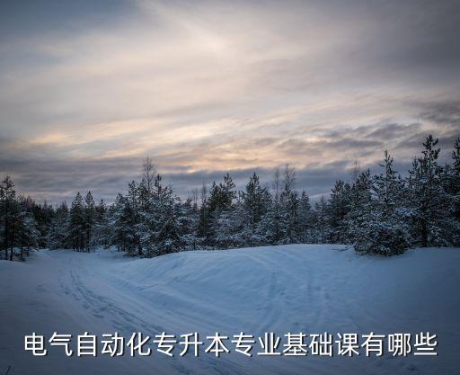 電氣自動(dòng)化專升本專業(yè)基礎(chǔ)課有哪些