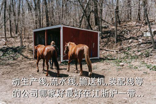 動生產線,流水線,輸送機,裝配線等的公司哪家好最好在江浙滬一帶...