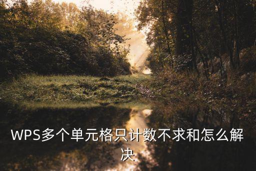 WPS多個單元格只計數(shù)不求和怎么解決