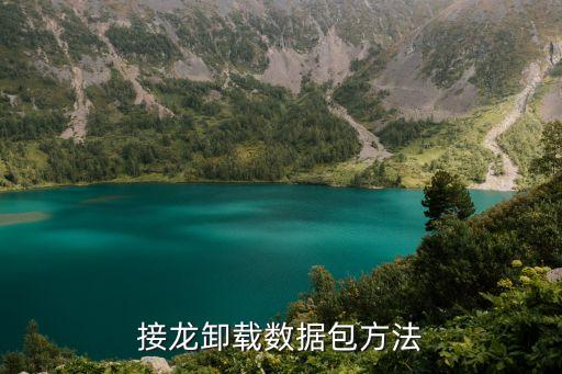 接龍卸載數(shù)據(jù)包方法