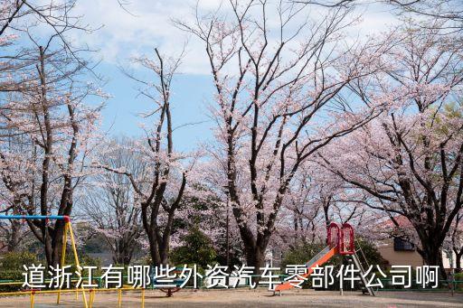 道浙江有哪些外資汽車零部件公司啊