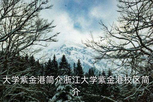 大學(xué)紫金港簡(jiǎn)介浙江大學(xué)紫金港校區(qū)簡(jiǎn)介