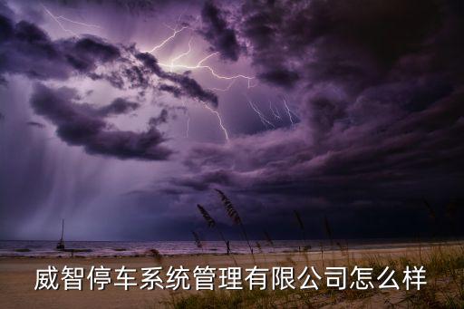 威智停車系統(tǒng)管理有限公司怎么樣
