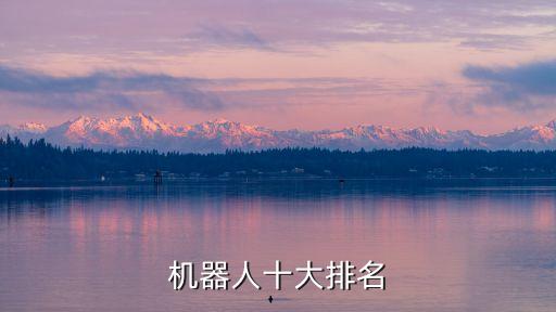 只能機器人排行,人工智能機器人排名