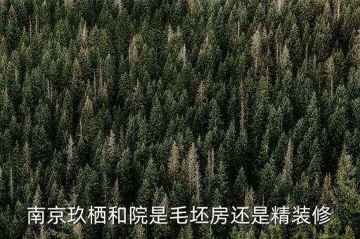 南京德信能自動化有限公司,德信星宸南京開發(fā)商是哪家公司?