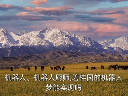 機(jī)器人、機(jī)器人廚師,碧桂園的機(jī)器人夢能實(shí)現(xiàn)嗎