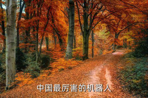 機(jī)器人佳佳表情,中國首個(gè)人形美女機(jī)器人佳佳正式問世