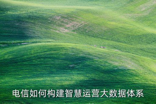 大數(shù)據(jù) 運(yùn)營(yíng)商,營(yíng)運(yùn)商看待大數(shù)據(jù)最易陷入四大誤區(qū)之一