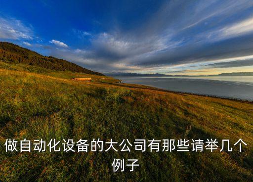 做自動化設(shè)備的大公司有那些請舉幾個例子