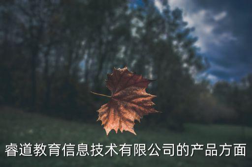 睿道教育信息技術(shù)有限公司的產(chǎn)品方面