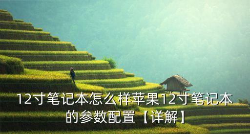 蘋果筆記本數(shù)據(jù)對比,mac圖書對比