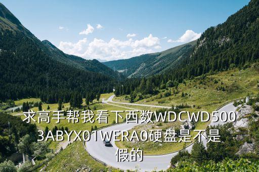 求高手幫我看下西數(shù)WDCWD5003ABYX01WERA0硬盤是不是假的