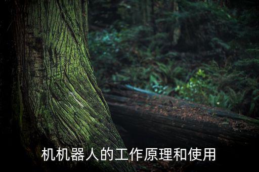 街邊掃地機(jī)器人,哪款掃地機(jī)器人比較好?