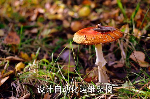 公司自動化架構(gòu)圖片高清,自動化公司組織結(jié)構(gòu)圖