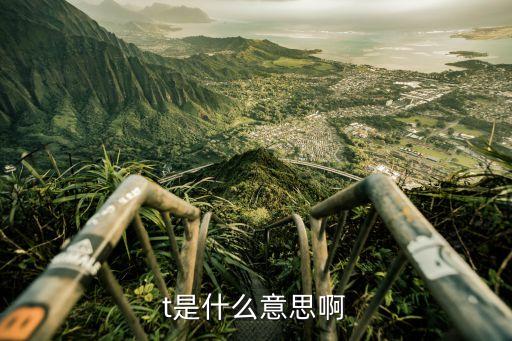 bot是什么意思 機(jī)器人,量化機(jī)器人是什么意思?