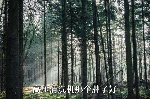 高壓清洗機那個牌子好