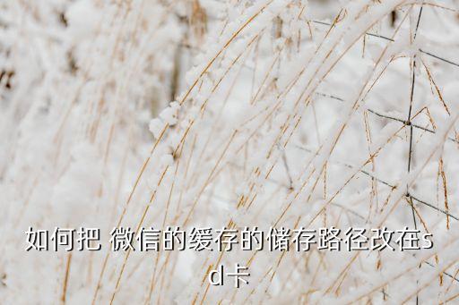 將微信數(shù)據(jù)存儲移入外部SD卡