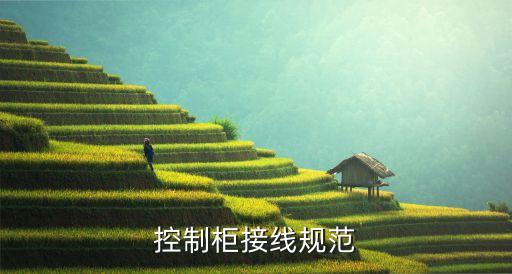控制柜接線規(guī)范