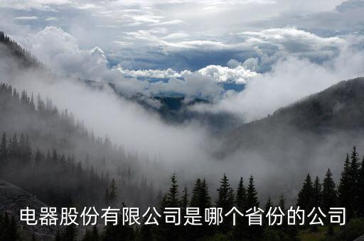 電器股份有限公司是哪個省份的公司