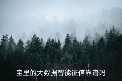 寶里的大數(shù)據(jù)智能征信靠譜嗎