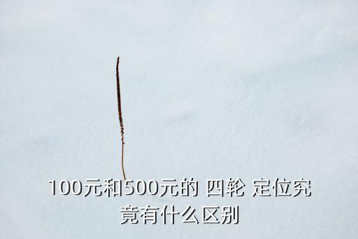 100元和500元的 四輪 定位究竟有什么區(qū)別