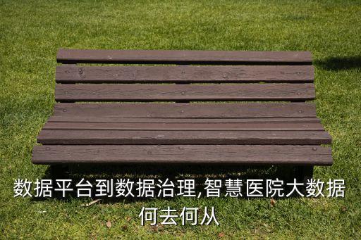 數(shù)據(jù)平臺到數(shù)據(jù)治理,智慧醫(yī)院大數(shù)據(jù)何去何從