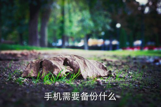 手機(jī)需要備份什么