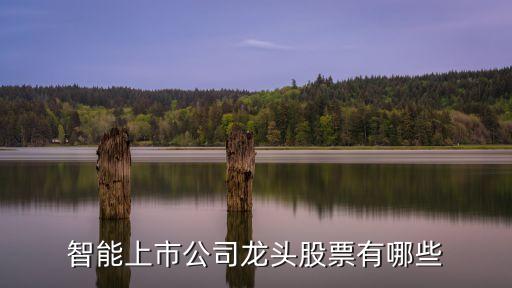 領(lǐng)先自動(dòng)化科技有限公司,惠斯勒自動(dòng)化技術(shù)有限公司