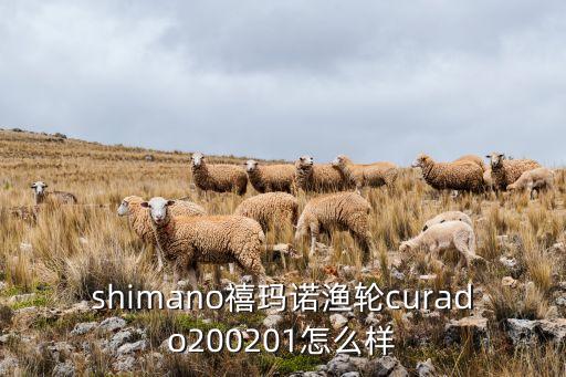 shimano禧瑪諾漁輪curado200201怎么樣