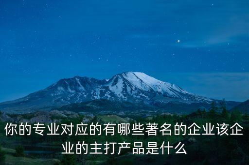 你的專業(yè)對應(yīng)的有哪些著名的企業(yè)該企業(yè)的主打產(chǎn)品是什么