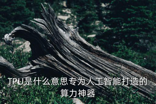 TPU是什么意思專為人工智能打造的算力神器