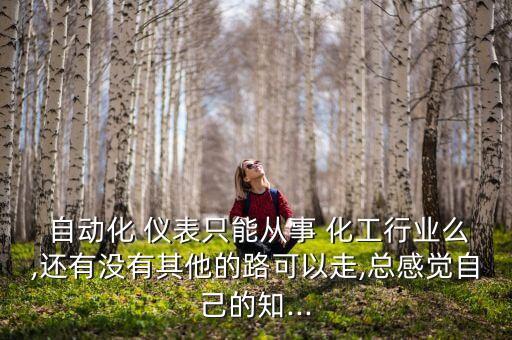 化工儀表自動(dòng)化公司有哪些