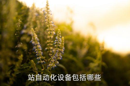 梳刷自動(dòng)化設(shè)備,涂三防漆自動(dòng)設(shè)備
