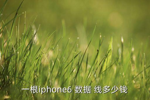 港飛蘋果數(shù)據(jù)線多錢,港版蘋果數(shù)據(jù)線和國(guó)產(chǎn)有差別嗎