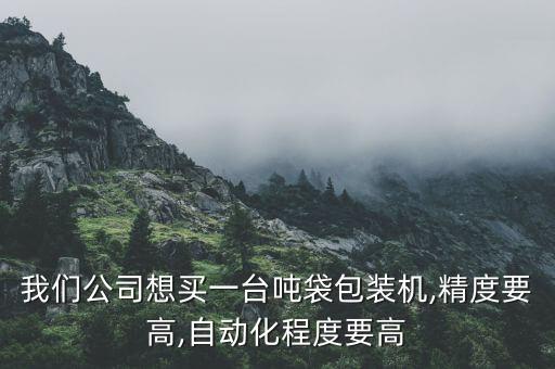 我們公司想買一臺(tái)噸袋包裝機(jī),精度要高,自動(dòng)化程度要高