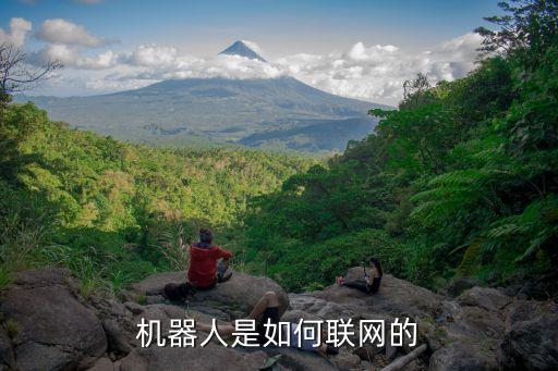 網(wǎng)站智能機器人,智能機器人技術(shù)
