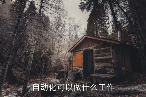 自動化可以做什么工作