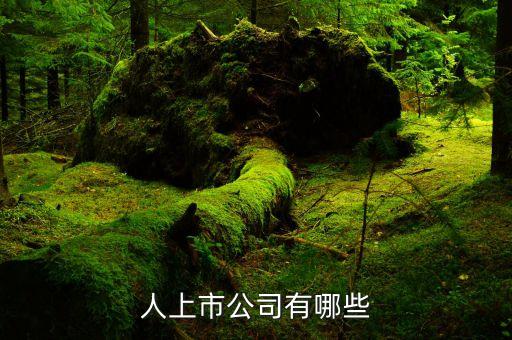 上海自動化機(jī)械有限公司,有哪些機(jī)器人上市公司?