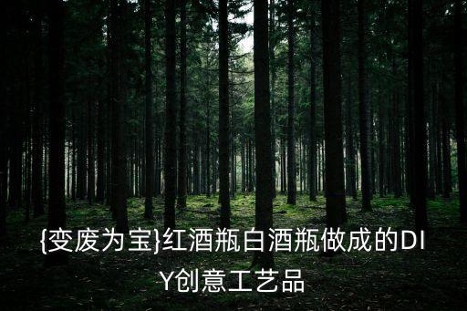 瓶子怎么制作機(jī)器人,如何做一個(gè)科技小制作?