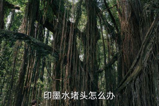 印墨水堵頭怎么辦