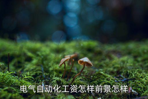 電氣自動(dòng)化工資怎樣前景怎樣